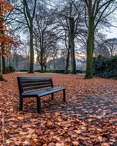 A lone bench sits in a park covered in fallen leaves.