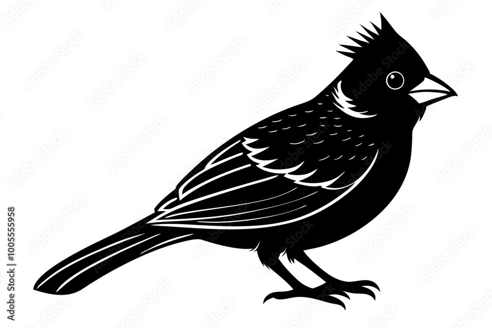 Obraz premium Cardinal bird vector silhouette, cardinal bird animal black vector icon 