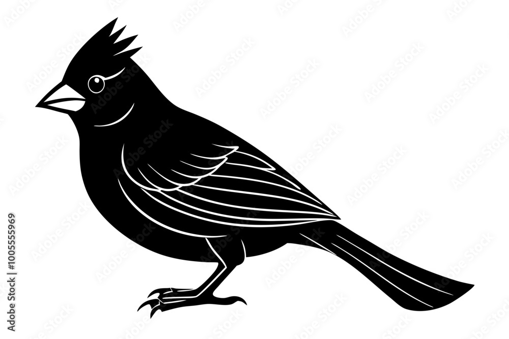 Fototapeta premium Cardinal bird vector silhouette, cardinal bird animal black vector icon 