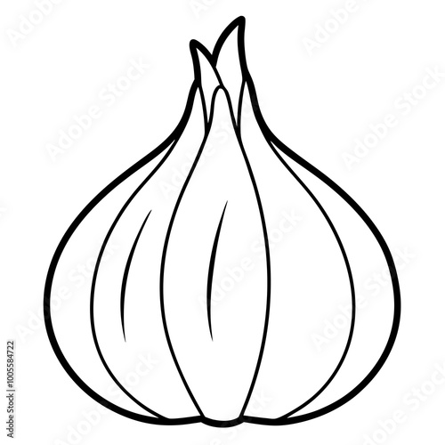 Explore A Clove of Garlic Vector Illustration for Healthy Recipes and Tips
