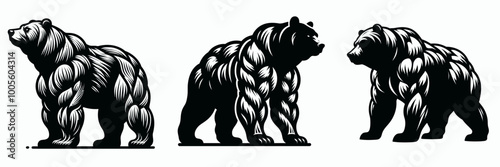 Three stylized bear illustrations showcasing different muscular forms and poses in black and white.