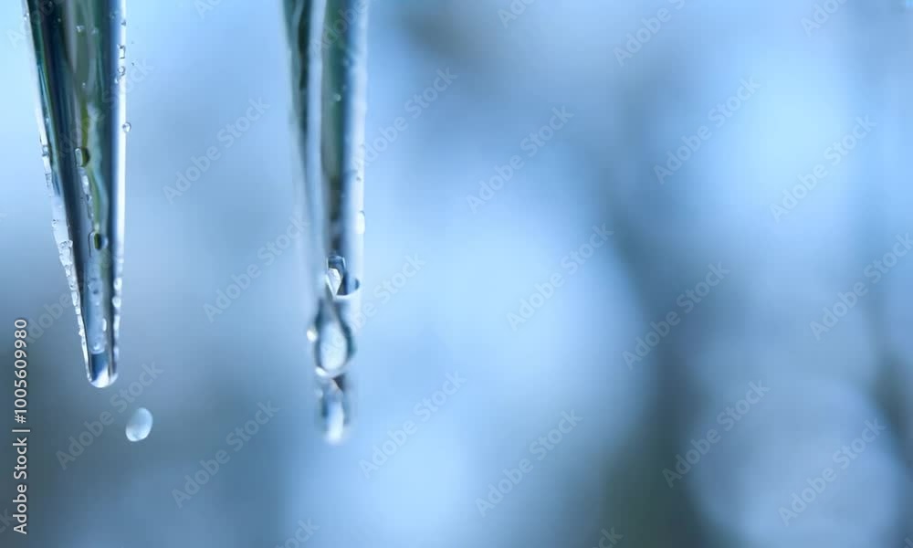 Water drips from a melting icicle. Generative AI Water drips from a melting icicle. Generative AI