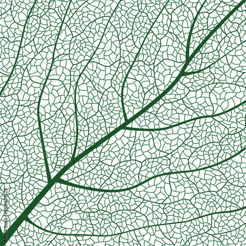 Close-up green leaf texture with intricate details of leaf veins showcasing natures botanical textures and patterns