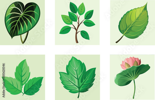 Diverse Types of Leaves: Beautiful and Varied Botanical Illustrations