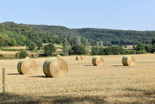 Balas de heno redondas en el campo con montaña de fondo photo