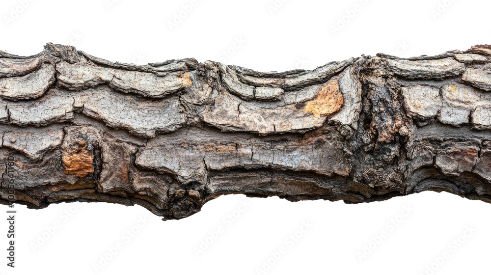 wooden log on a transparent background wooden log on a transparent background