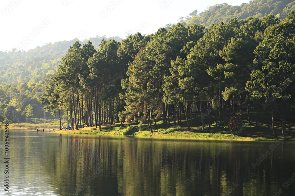 Fototapeta premium Public campsite at Huai Pang tong Reservoir at Pang Ung, Pang Tong Royal Development Project in Mae Hong Son, Thailand 