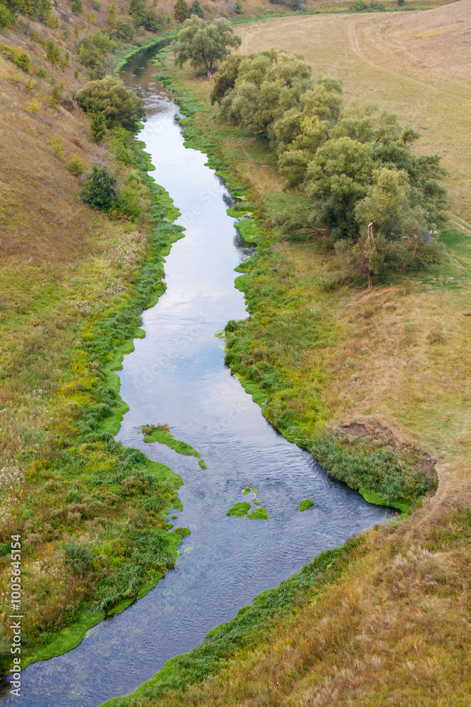 A river with a green plant growing on it A river with a green plant growing on it