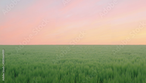 "Serene Green Field at Sunset with Soft Pink and Orange Sky – Peaceful Nature Landscape for Tranquility, Countryside, and Agricultural Themes"