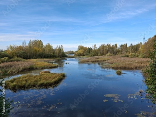 Nature in silence: the water surface of a lake