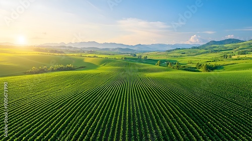 Aerial Perspective of Vast Farmland with Neatly Arranged Crops Bathed in the Warm Glow of Golden Hour Sunset Revealing an Intricate Tapestry of Agricultural Productivity and Environmental Harmony