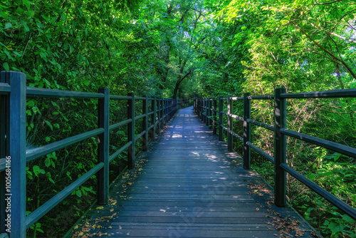 Walking trails in Seoul, South Korea