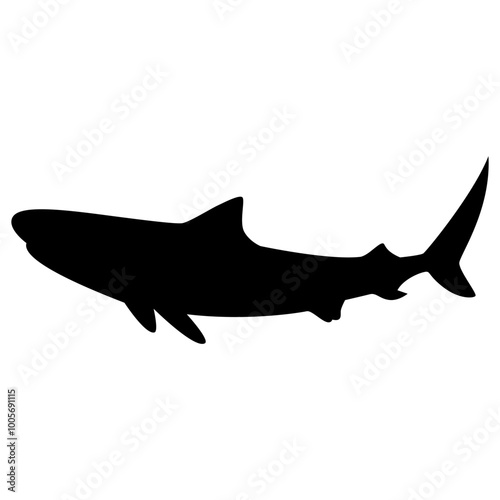 Shark Silhouette Vector