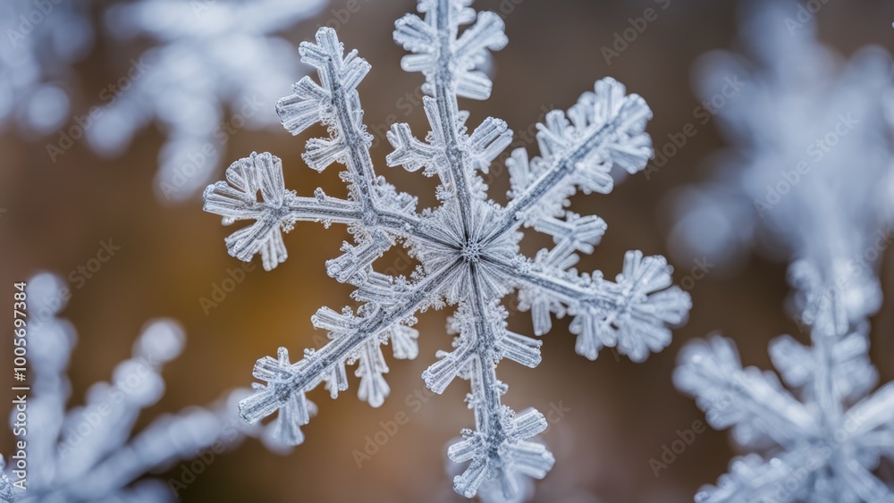 Snowflakes, macro Snowflakes, macro