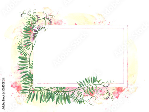 Meadow weed grass Mouse pea. Wildflowers twig template. Climbing plant with pink flowers, buds, green curly leaves on watercolor splashes, spotted background. illustration. Wild herbs isolated clipart