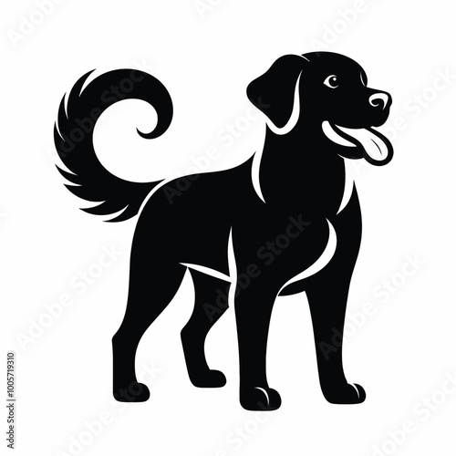black and white dog
