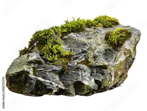 Close-up of a mossy rock Isolated On White Background photo