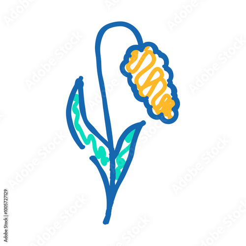 millet plant food doodle icon sketch vector. millet plant food sign. isolated symbol illustration