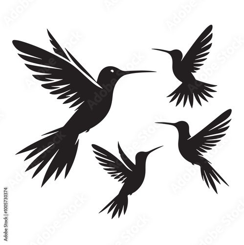 Birds silhouette