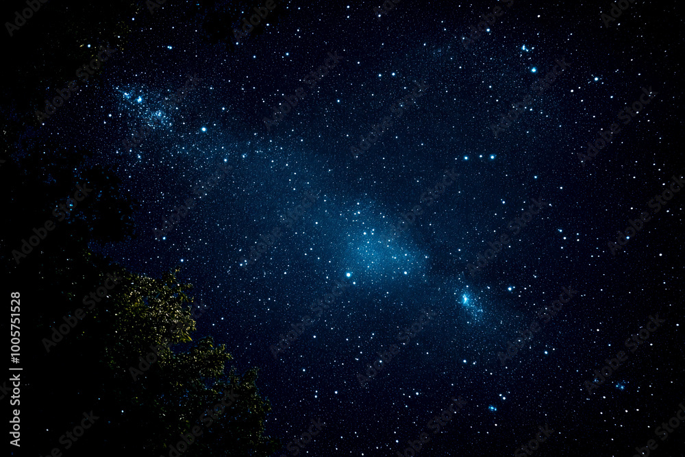 Fototapeta premium A dark sky with a few stars and a tree in the foreground. The stars are scattered throughout the sky, with some closer to the tree and others further away
