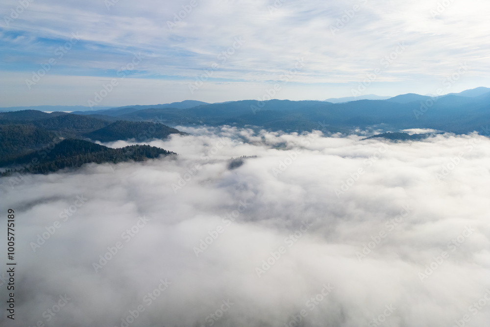 autumn mountain landscape with morning fog. Treetops and mountain peaks can be seen through the thick fog on sunrise time. View from drone