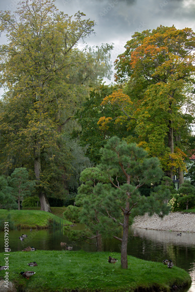 Autumn park landscape, first days of autumn Autumn park landscape, first days of autumn