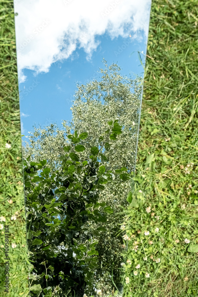 Fototapeta premium Mirror Reflecting Tree and Sky on green Grass