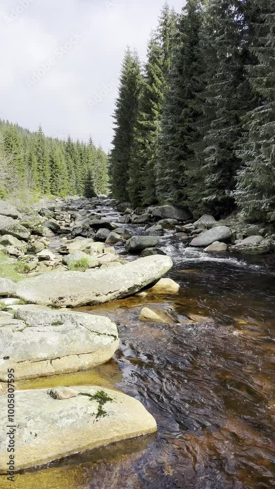 Fast flowing water in a mountain river. River Jizera Poland, Czech Republic Fast flowing water in a mountain river. River Jizera Poland, Czech Republic