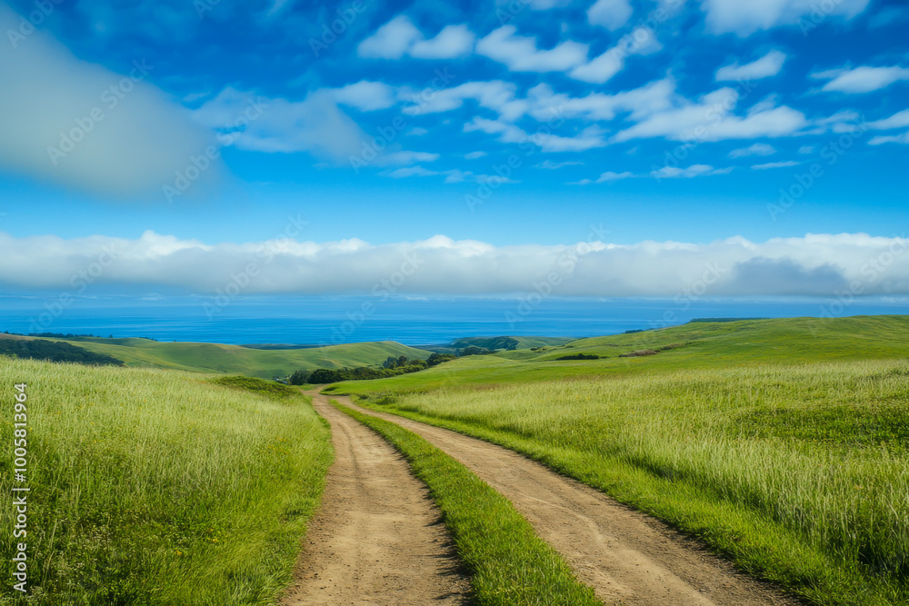 A road runs through a grassy field with a blue sky in the background. The road is dirt and the grass is lush and green A road runs through a grassy field with a blue sky in the background. The road is dirt and the grass is lush and green