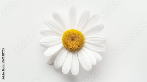 White flower with a yellow center sits on a white background. The flower is the main focus of the image, and it is the most important element. The white background creates a sense of simplicity