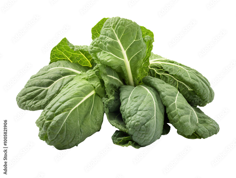 a green leafy vegetable with white veins a green leafy vegetable with white veins