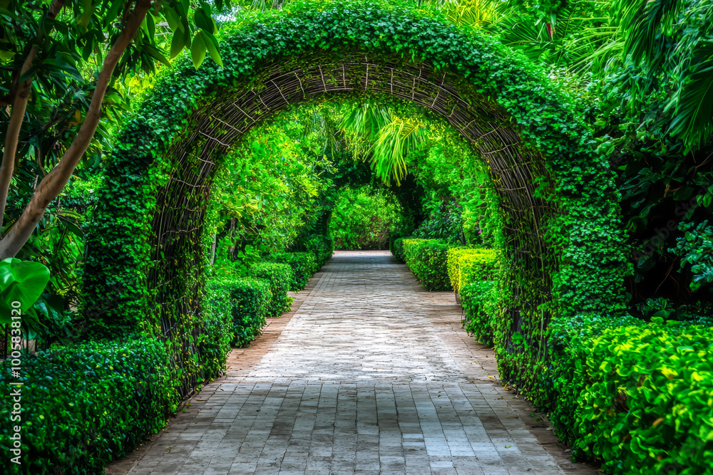 Fototapeta premium A green archway with bushes and trees surrounding it. The archway is in a garden and is surrounded by a path