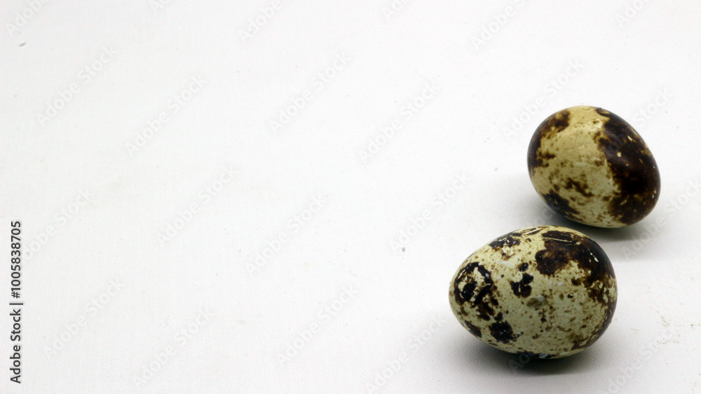Obraz premium Quail eggs with nice patterns