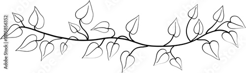 ivy plant drawing illustration.