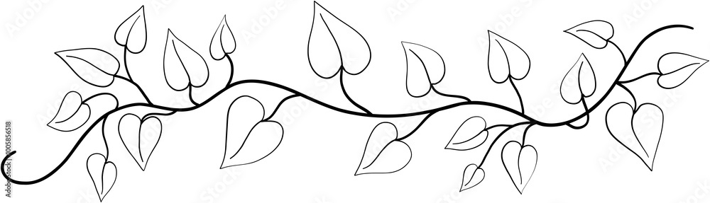 Fototapeta premium ivy plant drawing illustration.