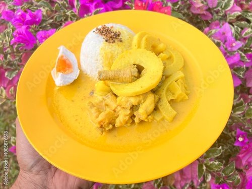 Masak Lemak Rebung is known as a bamboo shoot with yellow coconut gravy. Traditional Malay dishes in Malaysian