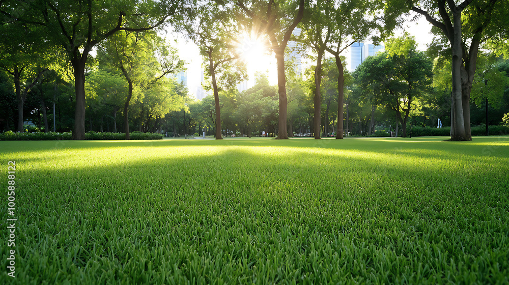 Obraz premium Public park in the city, wide view, green space maintenance for a serene wallpaper