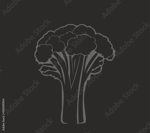 Broccoli hand-drawn vector Illustration Broccoli hand-drawn vector Illustration