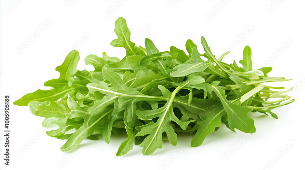 Fresh arugula leaves are vibrant and healthy, perfect for salads and garnishes. Their peppery flavor adds delightful touch to various dishes, enhancing both taste and presentation. Fresh arugula leaves are vibrant and healthy, perfect for salads and garnishes. Their peppery flavor adds delightful touch to various dishes, enhancing both taste and presentation.