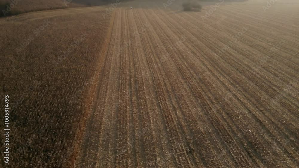 Combine Harvester on Corn Field During Autumn Harvest Combine Harvester on Corn Field During Autumn Harvest