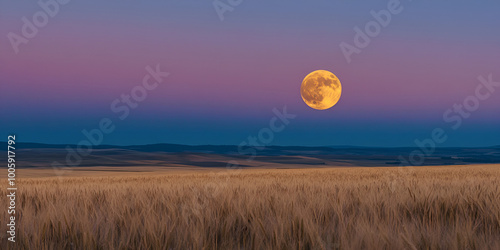 Harvest Moon Over Prairie: Serene Night Landscape