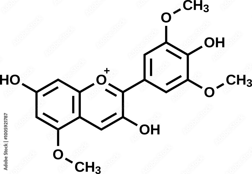 Capensinidin structural formula, vector illustration Capensinidin structural formula, vector illustration