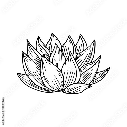 A hand-drawn lotus succulent sketch, perfect for zen decor or meditation spaces. Minimalist and botanical design for a serene and calming atmosphere.