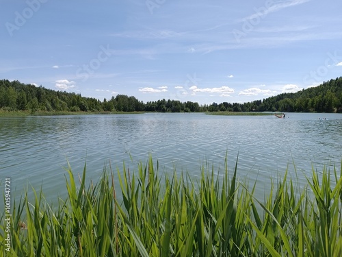 The silence of nature: a summer idyll on the lake