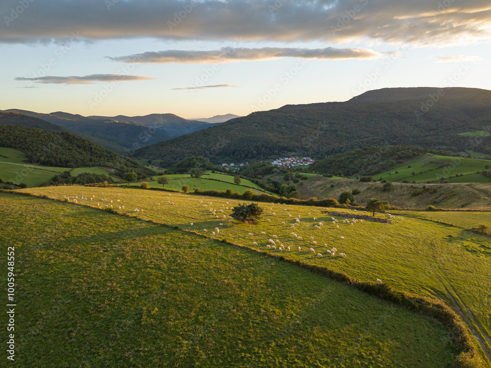 Obraz premium Flock of sheep grazing at sunset. Garralda, Aezkoa Valley. Navarre