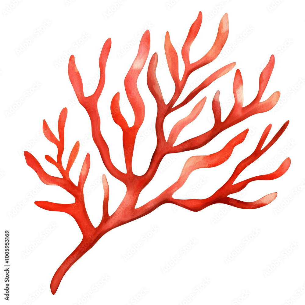 Red coral branch, transparent background. Red coral branch, transparent background.