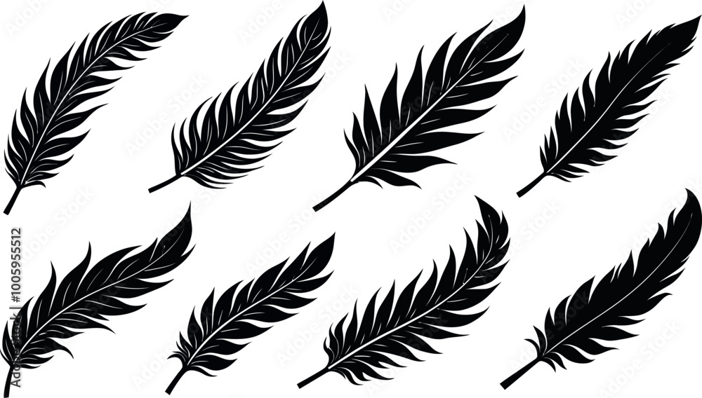 Obraz premium feather vector silhouette images art illustration