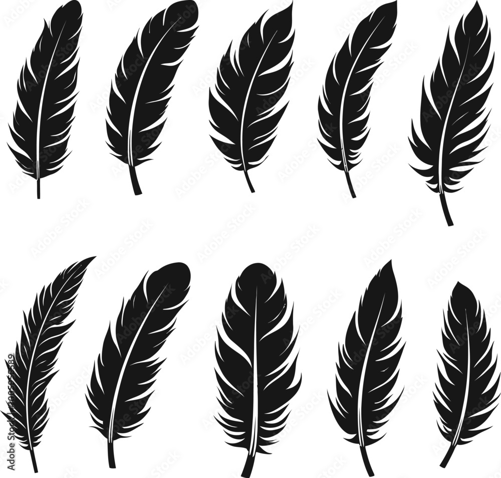 Obraz premium feather vector silhouette images art illustration