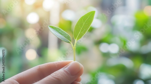 A hand holding a small plant with green leaves, symbolizing growth and nature.