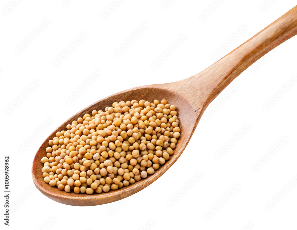 Mustard seeds in a wooden spoon close-up on a white. Isolated Mustard seeds in a wooden spoon close-up on a white. Isolated